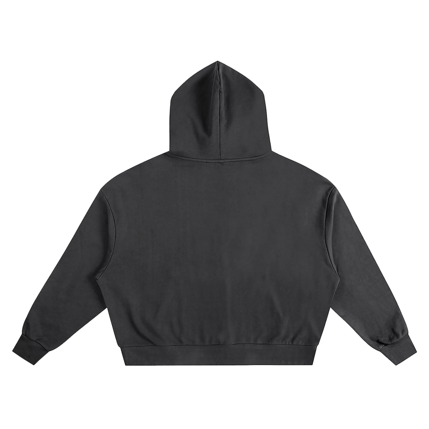 GNX Oversized Heavyweight Hoodie