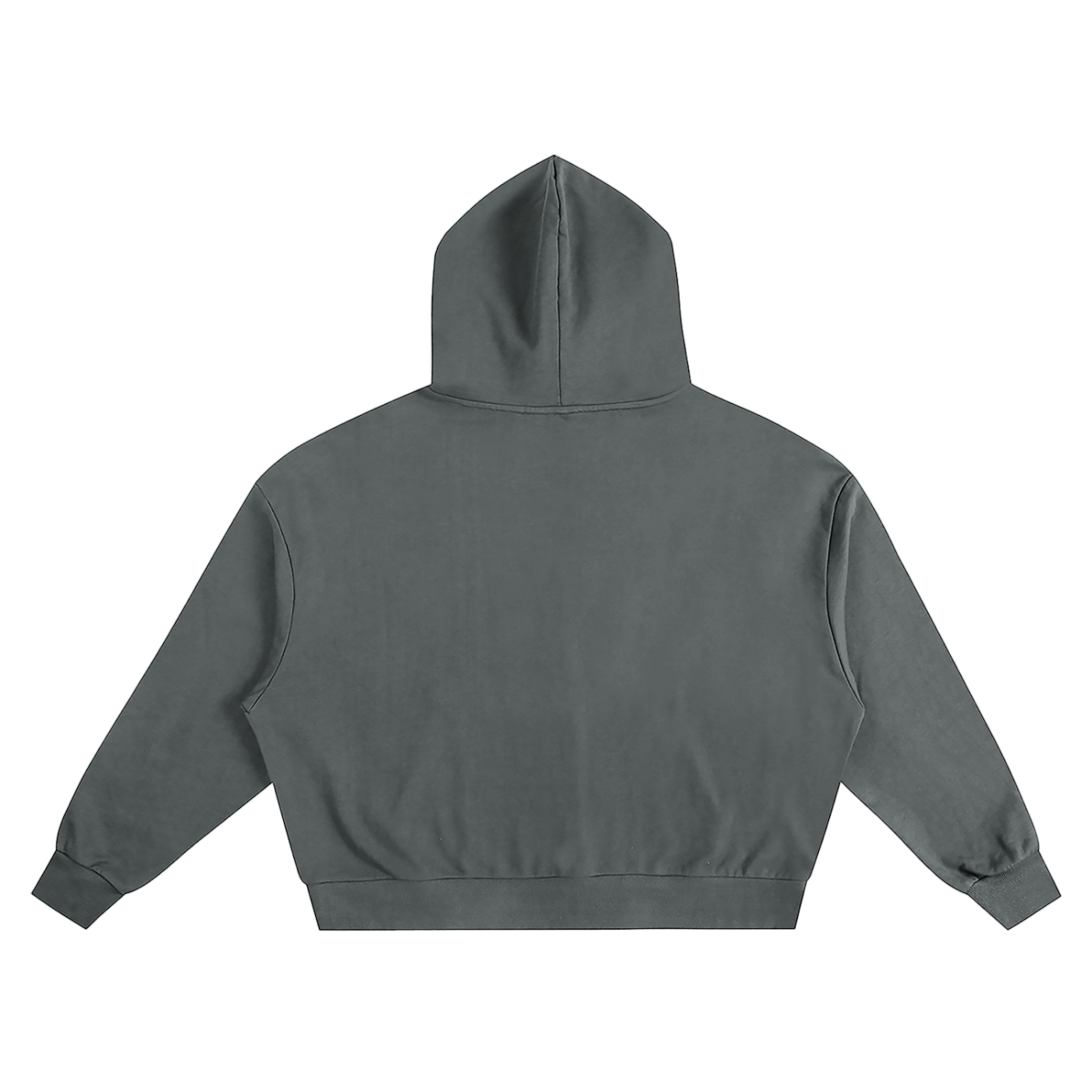 GNX Oversized Heavyweight Hoodie